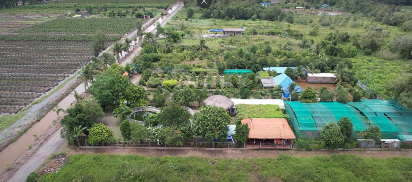 Bán đất Bình Chánh (MT Vườn Thơm); 21x88m; hạ tầng hoàn chỉnh; sổ đỏ; 14 tỷ